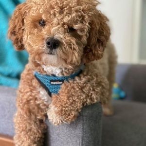 Meet your Posher, Heather